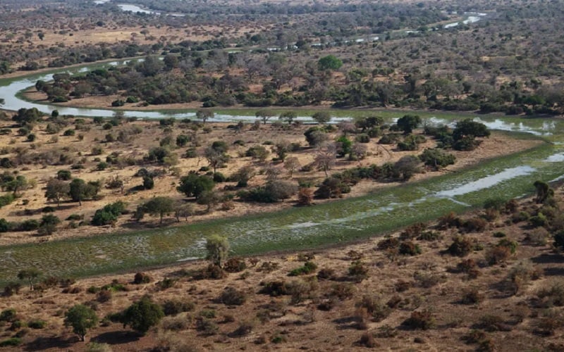 Zakouma Expedition Safari Chad